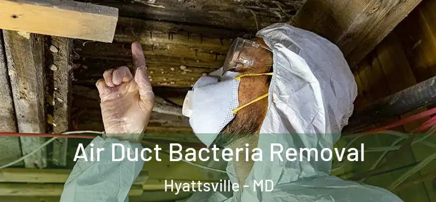  Air Duct Bacteria Removal Hyattsville - MD