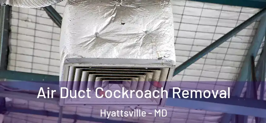  Air Duct Cockroach Removal Hyattsville - MD
