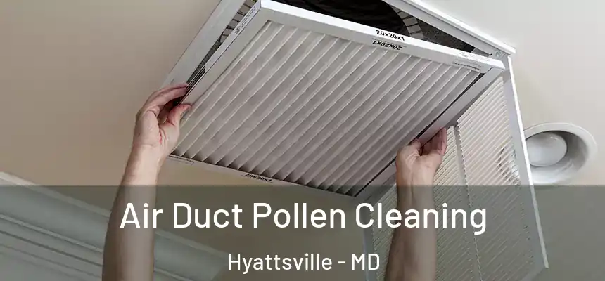  Air Duct Pollen Cleaning Hyattsville - MD