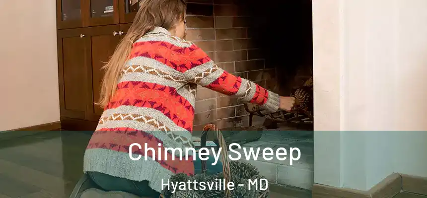  Chimney Sweep Hyattsville - MD