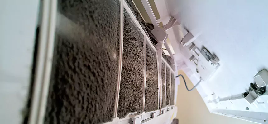 Preventive Air Duct Bacteria Removal in Hyattsville