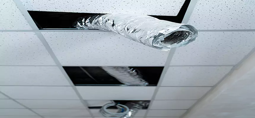 Our Air Duct Pet Hair Removal Services in Hyattsville, MD