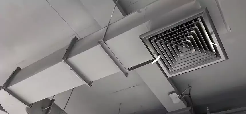 Restorative Allergy Relief Vent Cleaning – Coil, Blower & Housing Detail in Hyattsville