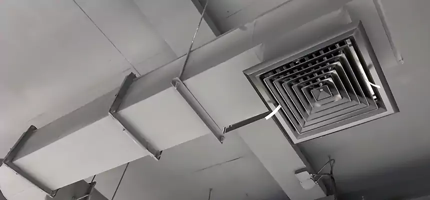 Our Pest Removal From Ducts Services in Hyattsville, MD