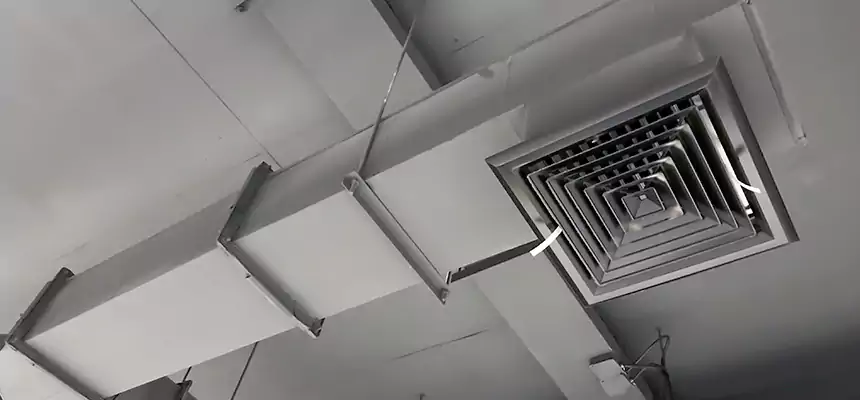 Our Rodent Droppings In Vents Services in Hyattsville, MD