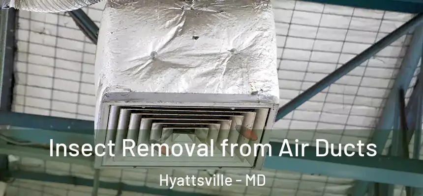  Insect Removal from Air Ducts Hyattsville - MD