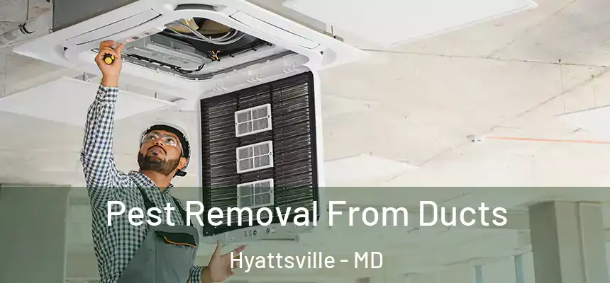  Pest Removal From Ducts Hyattsville - MD