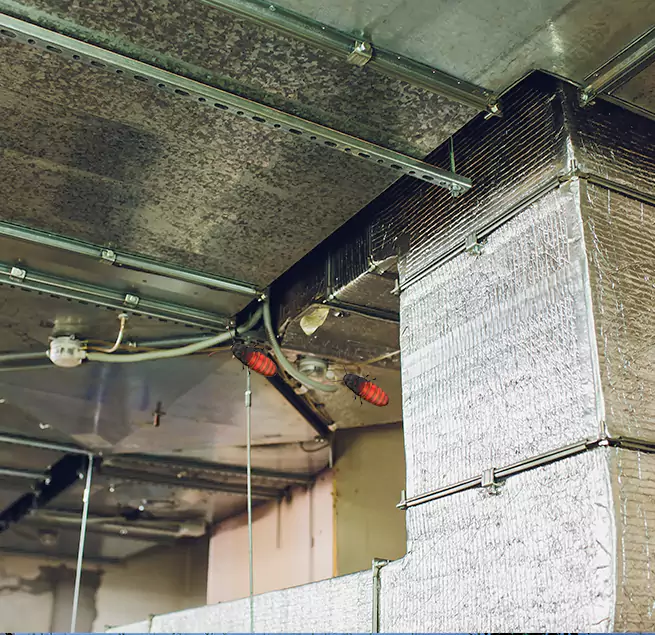 Why Homeowners & Businesses Trust Us in Hyattsville, MD?