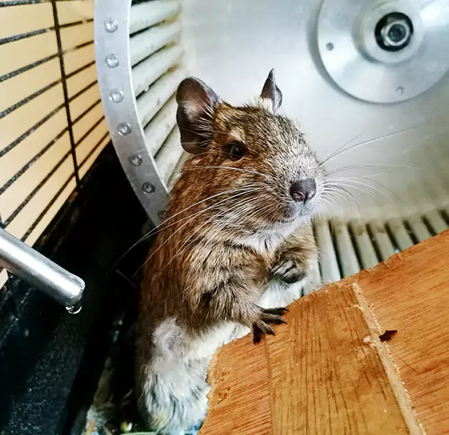 Why Homeowners & Businesses Trust Us Hyattsville, MD?